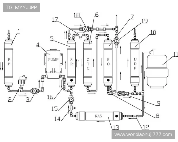 PP电子在绿色环保方面的创新实践与可持续发展策略 PP电子在绿色环保方面的创新实践与可持续发展策略