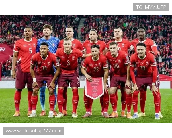 世界杯瑞士波黑比赛电脑观看攻略：多平台高清直播与回放资源推荐